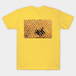 bee hive T-Shirt